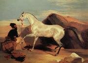 Arab stable ion Sir Edwin Landseer